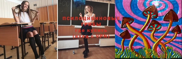 мдма Приозерск