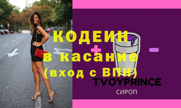 индика Фурманов