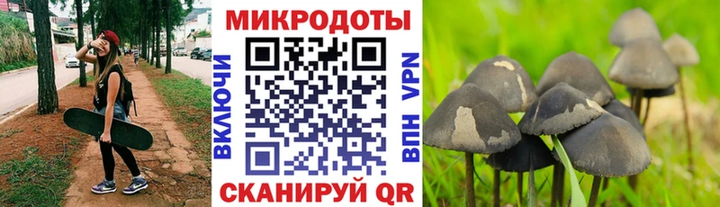 Псилоцибиновые грибы мицелий  Качканар 