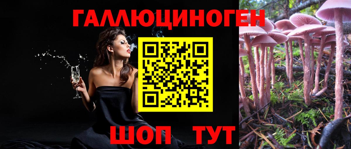 Псилоцибиновые грибы прущие грибы  Галлюциногенные грибы Psilocybe  Качканар 