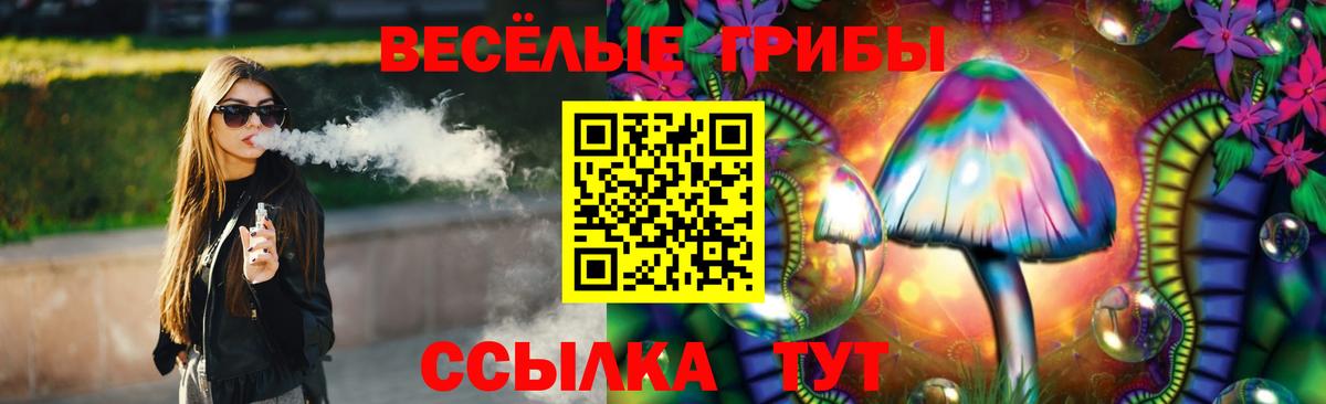 Качканар  Псилоцибиновые грибы Psilocybe  Вход с VPN  Псилоцибиновые грибы Psilocybine cubensis 